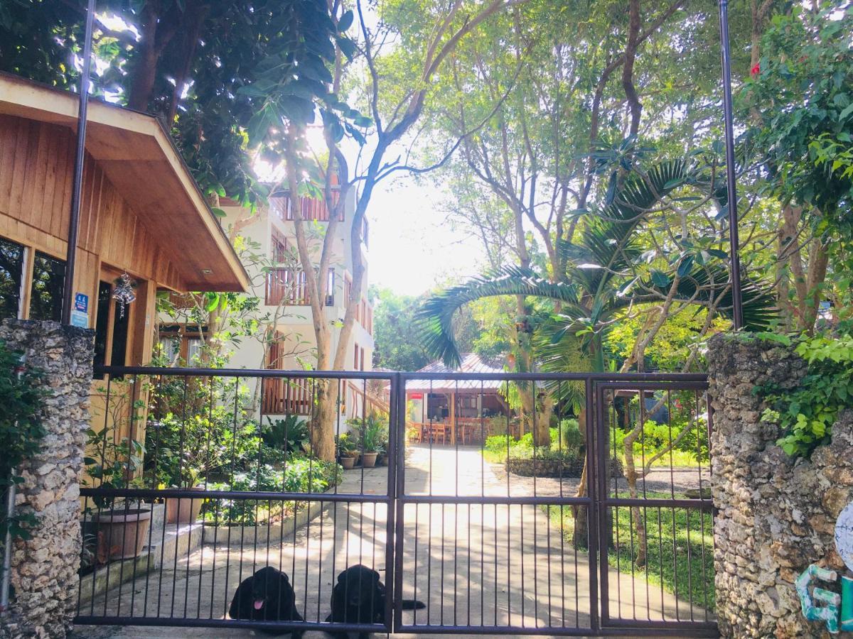 Pahiluna Guesthouse Panglao Dış mekan fotoğraf